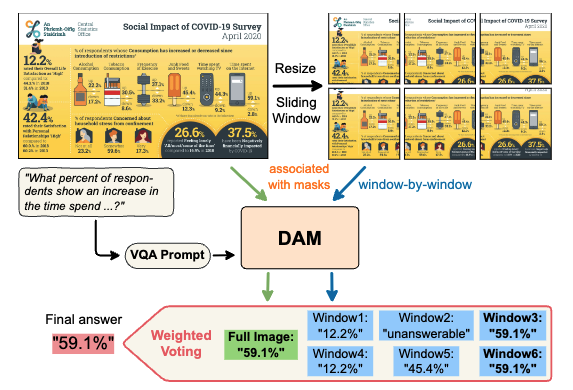 Describe Anything Model for Visual Question Answering on Text-rich Images