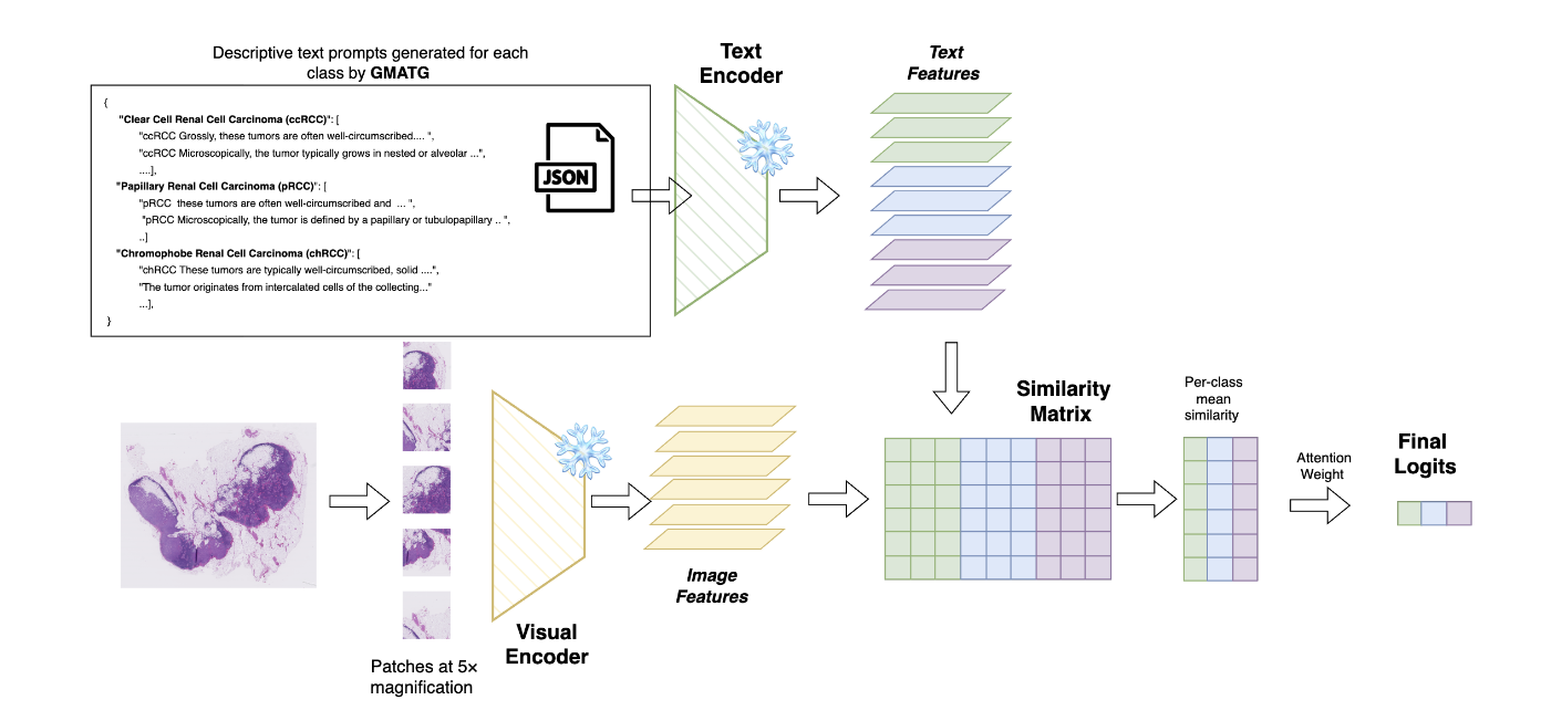 GMAT: Grounded Multi-Agent Clinical Description Generation for Text Encoder in Vision-Language MIL for Whole Slide Image Classification