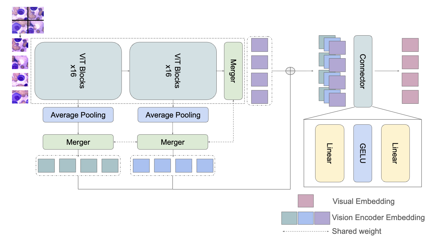 QwenVLConnector: A Fast, Unified Medical VLM Chatbot for Fine-Grained Clinical Perception and Text Generation